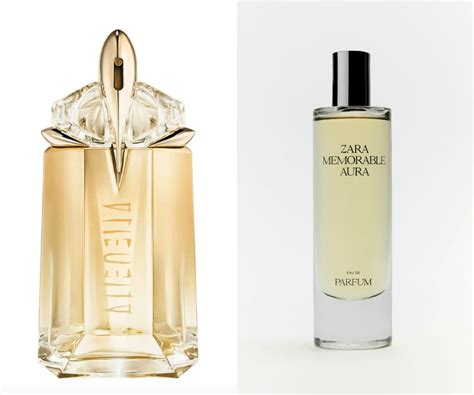 The Ultimate Zara Perfume Dupes For Your Favourite。